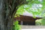Iwaki City's Shiramizu Amida-do 