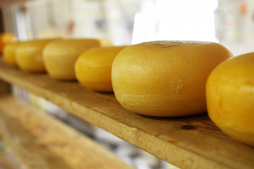 If you love cheese, you\'ll find plenty of it at this event
