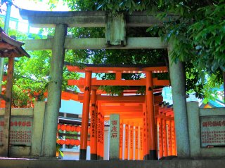 The Torii of Toyosaka Inari Shrine