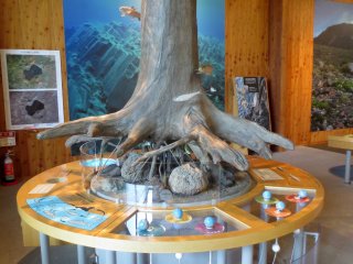 How the abundant plant life grows in volcanic regions is also explained through the hands-on displays