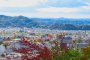 Rediscover Fukushima Prefecture - Day Three