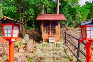 The Neko Inari Shrine