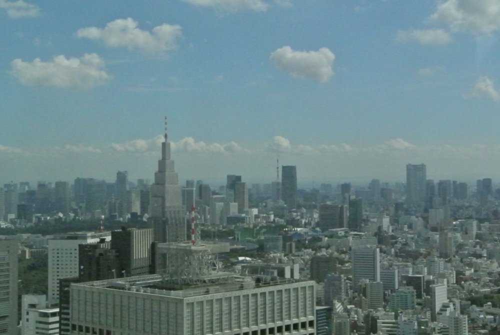 Tokyo metropolitan view