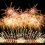 Tone River Fireworks Festival 2024