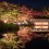 Night Walk at Showa Kinen Park 2024