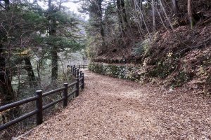 Otaki Forest Therapy Path