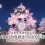 NAKED Hikone Castle Cherry Blossom Festival 2024