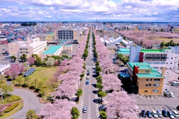 Towada City Spring Festival 2024