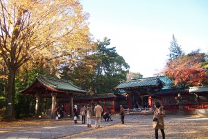 Autumn leaves make the shrine look doubly beautiful.&nbsp;