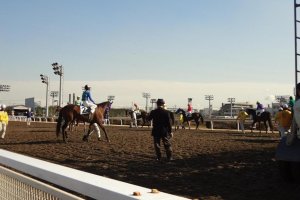 I like standing at the rail near the starting gate. Different from the finish line where huge numbers of people gather, here I can relax, and lean against the fence watching the horses and jockeys get ready to race.