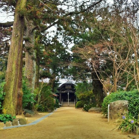Joruri-ji Temple in Matsuyama