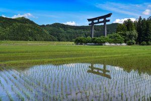 Giant torii