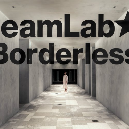 teamLab, People don't see the world as through a camera,Entrance, teamLab Borderless, Azabudai Hills, Tokyo © teamLab