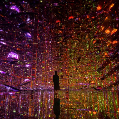 teamLab, Microcosmoses - Wobbling Light, 2024, Interactive Installation, LED, Endless, Sound: teamLab © teamLab, courtesy Pace Gallery
