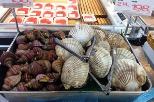 Fresh sea creatures big and small at the Co-op markets