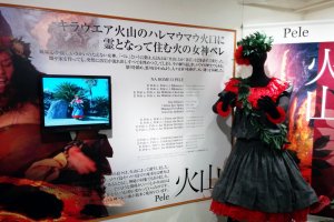 Several displays like this inform guests about a specific hula dance, its tradition, history, dress, and even dance movements with a video screen. u