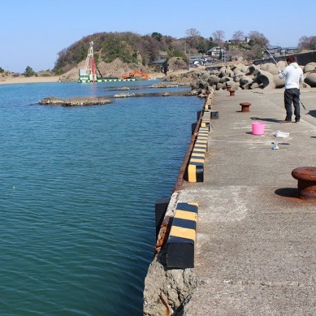 福井越前海岸「和布（めら）漁港で釣り」