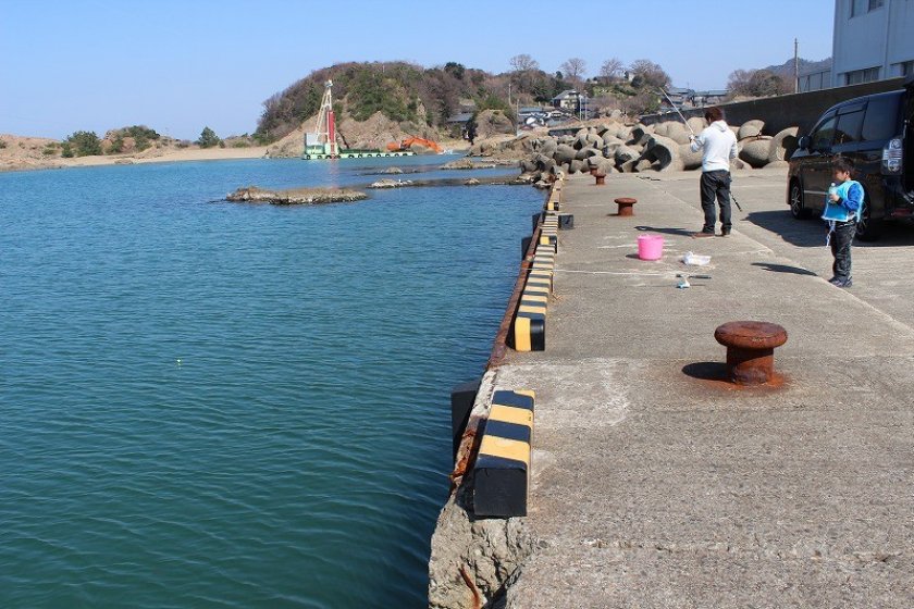 福井市鷹巣地区は日本海に面した越前加賀国定公園にある。その地区内にある和布（めら）漁港は知る人ぞ知る釣りが楽しめる穴場なのだ