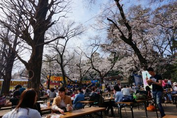 <p>ตรงข้ามคูวัง ในบริเวณศาลเจ้า Yasukuni&nbsp;จะมีร้านรวงมากมายขายอาหารให้ o-hanami ใต้ต้นซากุระ</p>