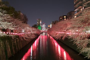 Река Мэгуро в Токио