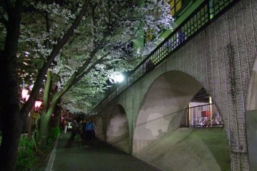 아름다운 벚꽃의 도쿄 배경