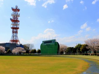 Around the soccer field, several Cherry Blossom trees stand, creating a relaxing panoramic view. &nbsp;