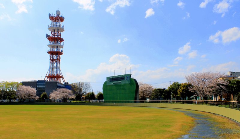 <p>Around the soccer field, several Cherry Blossom trees stand, creating a relaxing panoramic view. &nbsp;</p>