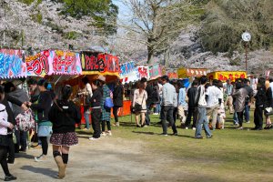 Cherry Blossom Festival booths at Mobara&nbsp;Park from April 1st to 15th
