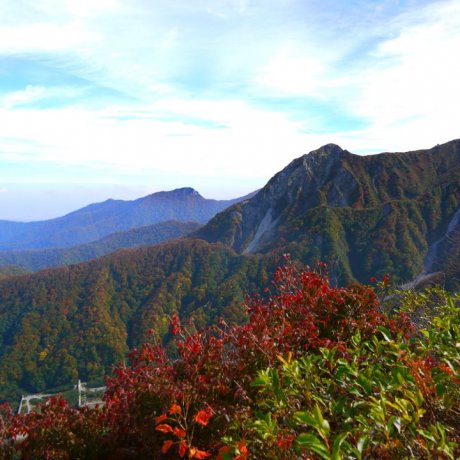 ภูเขาไดเซนตระหง่านเหนือโยนาโกะ