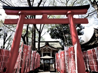 赤い鳥居　でもここは神社ではなくお寺の境内