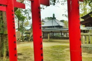 Nankobo through the torii gates