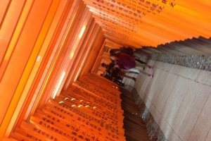 หลังจากที่ท่านได้เที่ยวชมบรรยากาศอันสวยงามของ Fushimi Inari ผมจะพาทุกท่านไปชิมอาหารชื่อดังในตำนานครับ