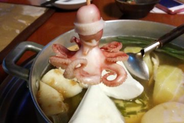 <p>A baby octopus with a headband was a cute surprise. &nbsp;</p>