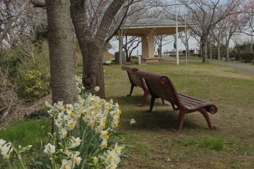 There are a lot of benches and rest places to sit and enjoy green leaves or cherry blossoms in spring.