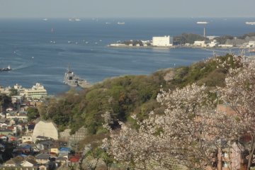 Adams loved to climb up to a hilltop in this area that commanded a splendid view of Edo (Tokyo) Bay, including modern day Yokohama Bay.