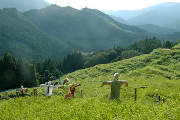 Scarecrows stand guard over the terraced rice paddies