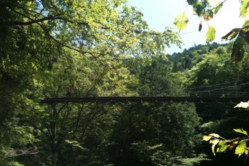 The high suspension bridge