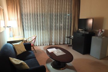 <p>Living area in the Deluxe Room</p>