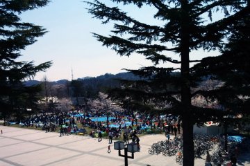 <p>Nishikoen Park viewed from a pedestrian bridge.&nbsp;</p>