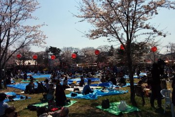 <p>Nishikoen Park.</p>