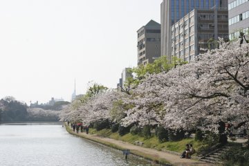 <p>The moat runs along Meiji-dori, where the subway stations are</p>