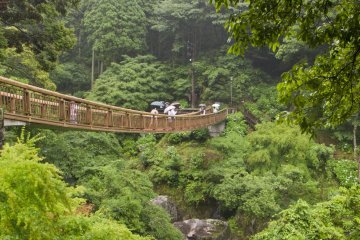 <p>This bridge provides a beautiful view from above the falls and river</p>