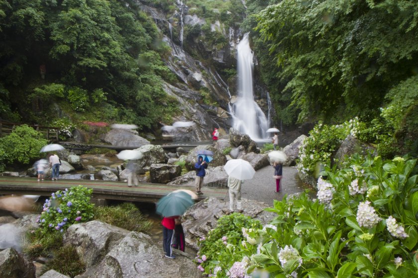 Tận dụng tối đa một ngày mưa tại thác Mikaeri