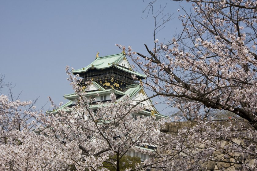 Osaka Castle is a favourite spot for cherry blossom photography.