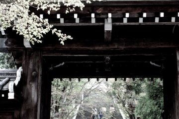 <p>Gate of Horin-ji Temple</p>