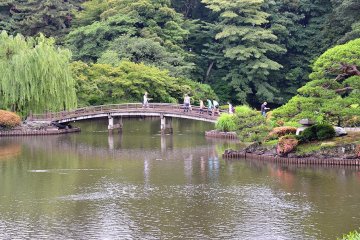 <p>สะพานไม้โค้งในสวนญี่ปุ่นให้ความรู้สึกสงบร่มเย็นท่ามกลางแมกไม้</p>