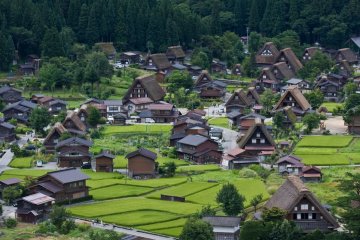 <p>หมู่บ้านชิระคะวะโกะในฤดูร้อนมีไร่นาสีเขียวชอุ่มรับแสงอาทิตย์</p>