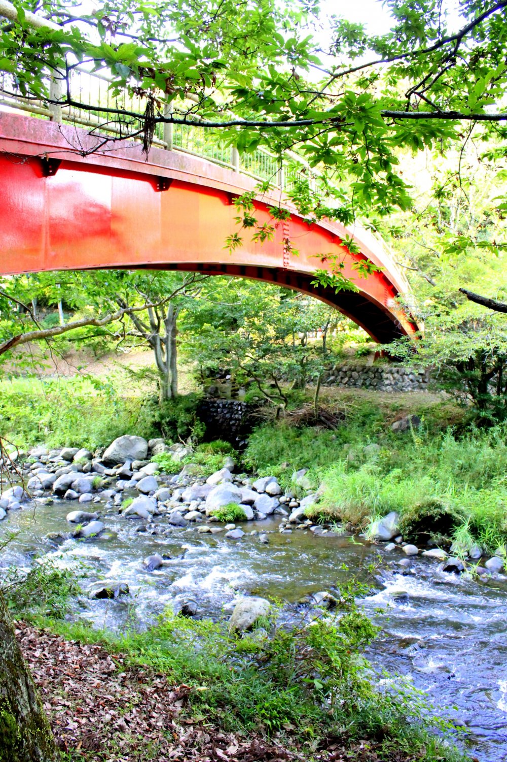 The red bridge over the shallow rushing waters gives a perfect contrast to the green surroundings