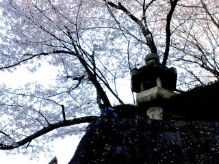 Looking up at the entrance to Kiyomizudera&nbsp;on an early April morning