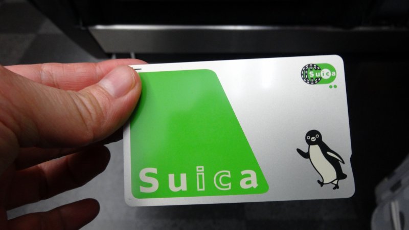 <p>The Suica card</p>